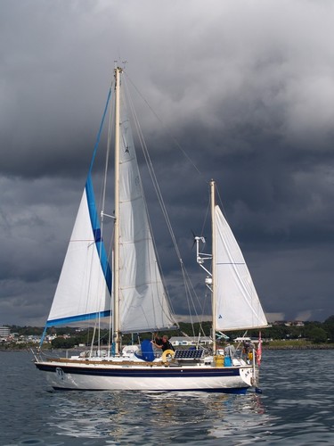 An Cala, 2010 Solo Tasman Yacht Race © Lindsay Wright
